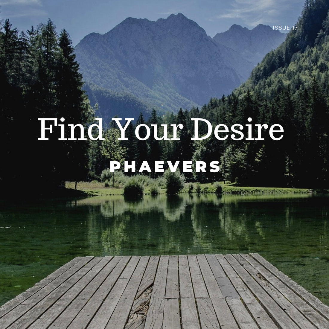 Find Your Desire