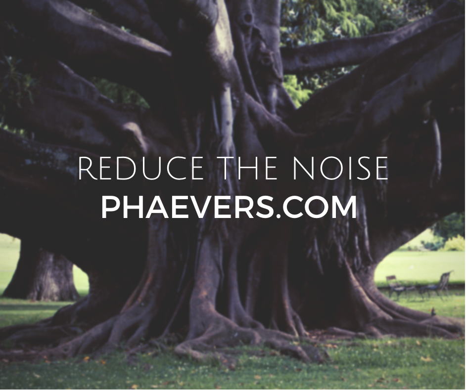Reduce the Noise
