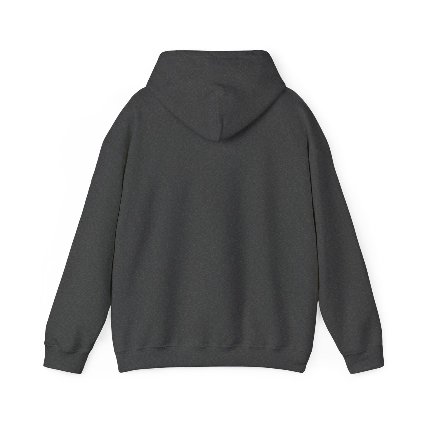 PHAEVERS AIN’T FREE HOODIE