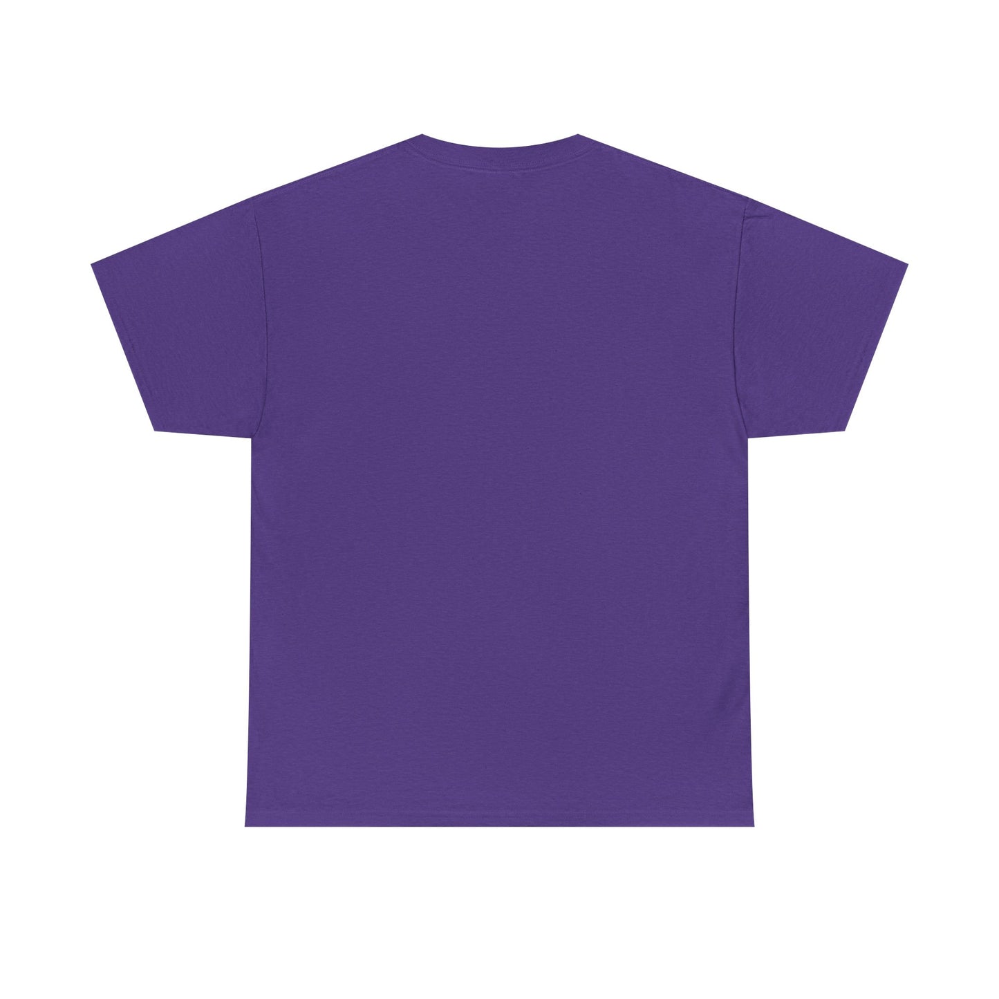 Catch Flights Not Feelings PHVRS Unisex Shirt