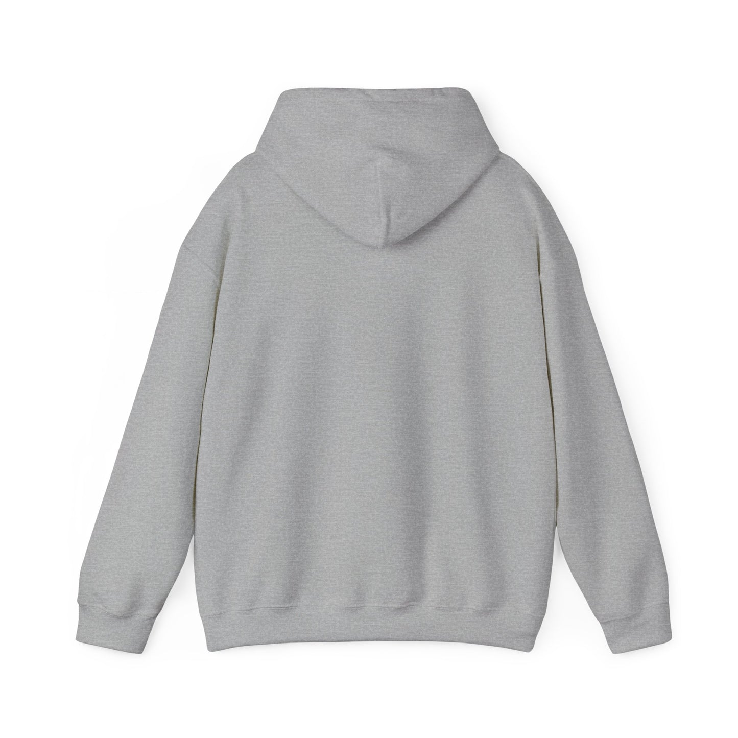 PHAEVERS AIN’T FREE HOODIE