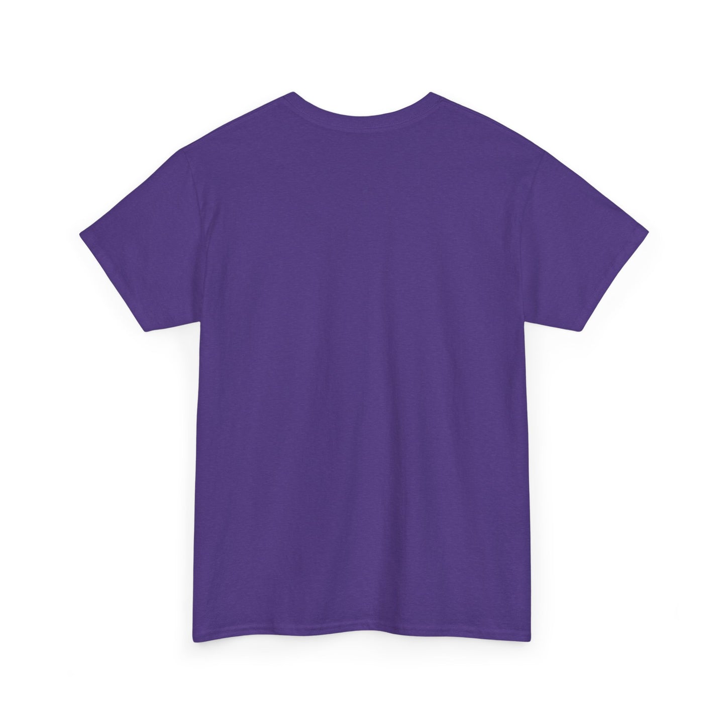 Catch Flights Not Feelings PHVRS Unisex Shirt