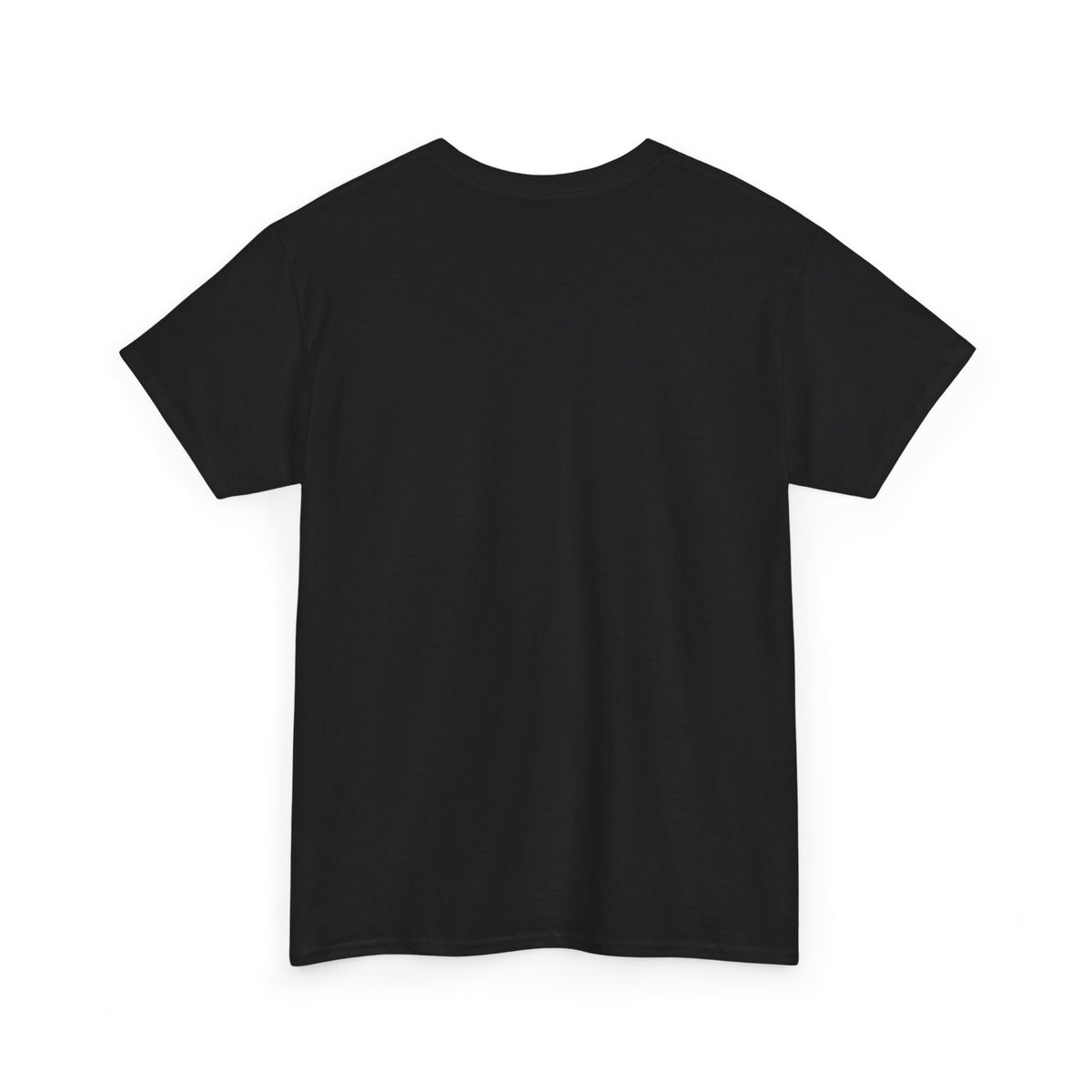 PHVRS CATCH FLIGHTS NOT FEELINGS TEE