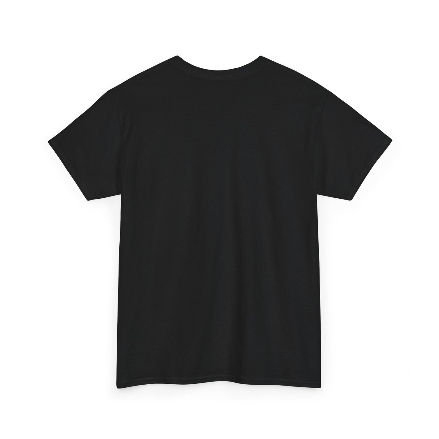 Catch Flights Not Feelings PHVRS Unisex Shirt