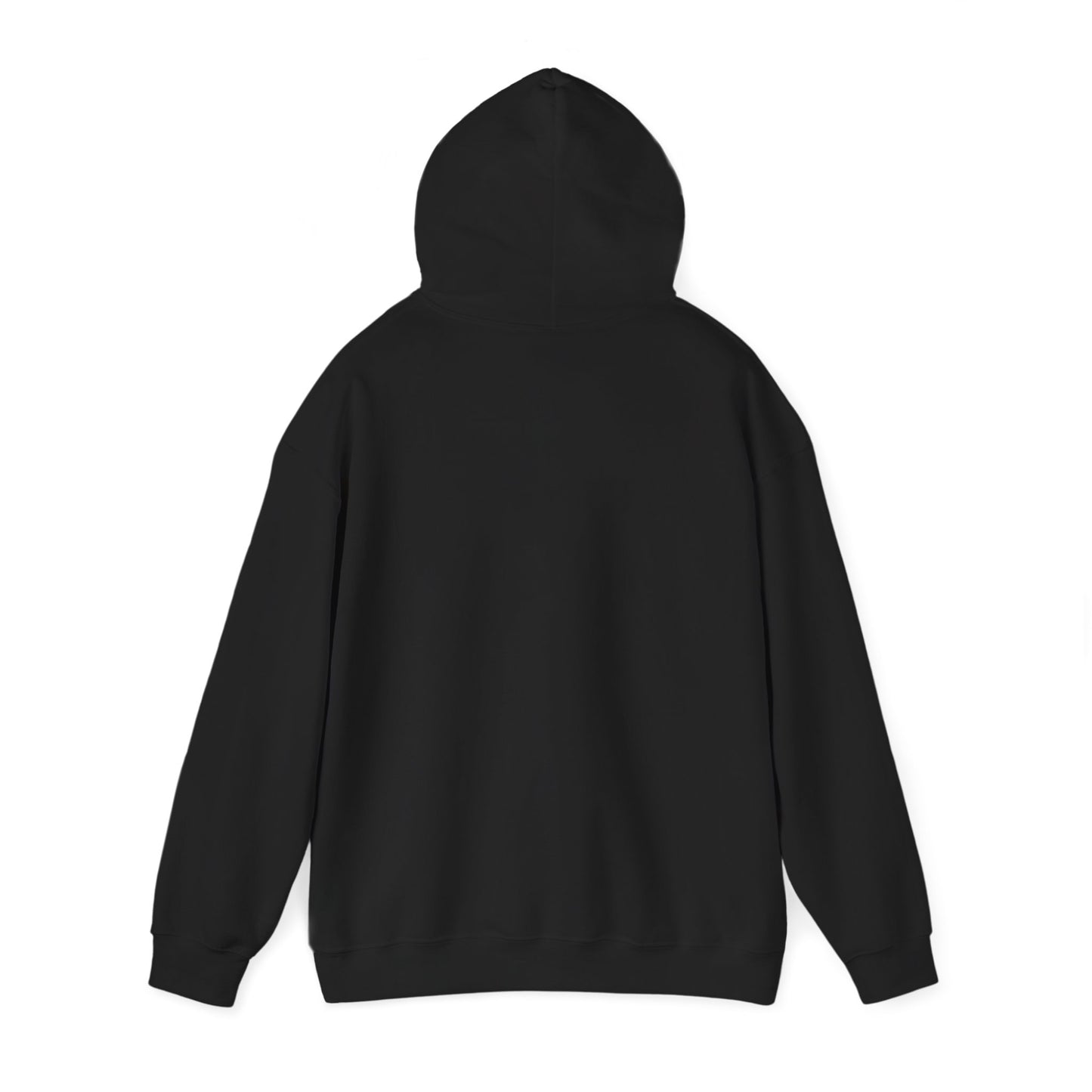 PHAEVERS AIN’T FREE HOODIE