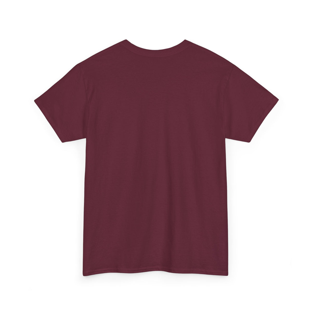 PHVRS CATCH FLIGHTS NOT FEELINGS TEE