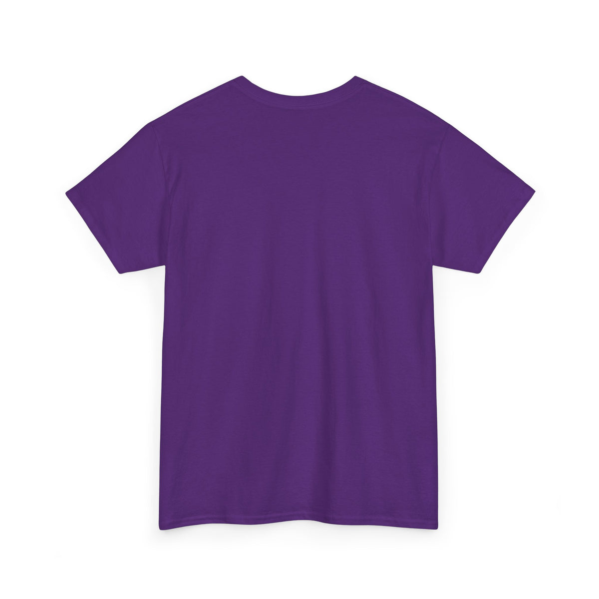 PHVRS CATCH FLIGHTS NOT FEELINGS TEE